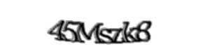 Security check image, please type the characters shown